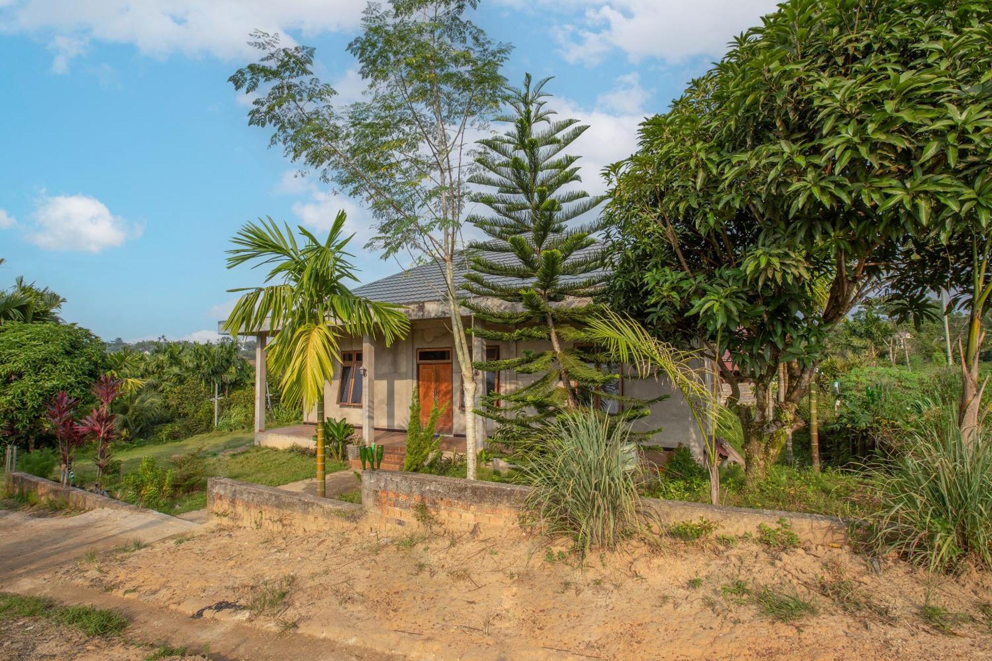 Oyo 92587 Homestay Romauli Kampung Radja Jambi Exterior foto